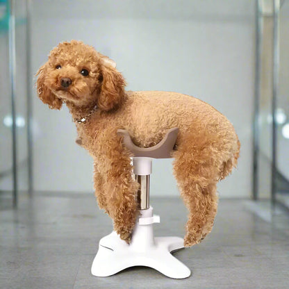 Puppy Grooming Bath Table – Pet Grooming Fixer Tool Accessory for Dogs, Poodles, Pomeranians & Bichon Frise