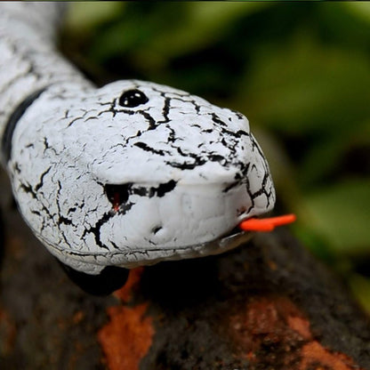 Remote Control Rechargeable Snake Toy - Simulation RC Snake with Egg Shaped Remote Controller