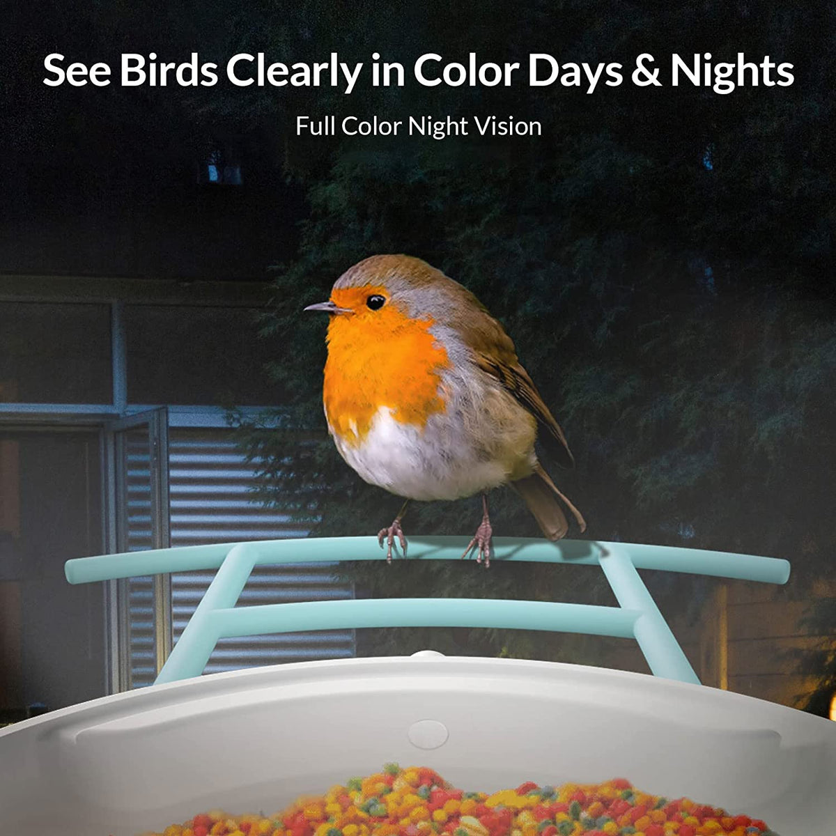 Smart Bird Feeder Camera, Bird Watching, Bird House Camera with Motion Detection & Auto Capture