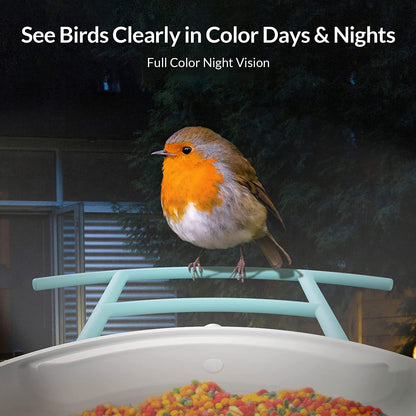 Smart Bird Feeder Camera, Bird Watching, Bird House Camera with Motion Detection & Auto Capture