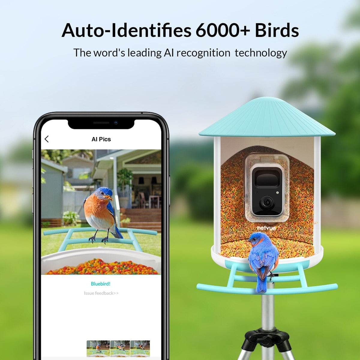 Smart Bird Feeder Camera, Bird Watching, Bird House Camera with Motion Detection & Auto Capture