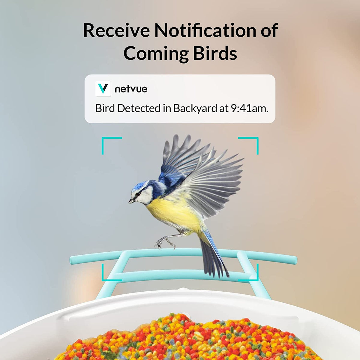 Smart Bird Feeder Camera, Bird Watching, Bird House Camera with Motion Detection & Auto Capture