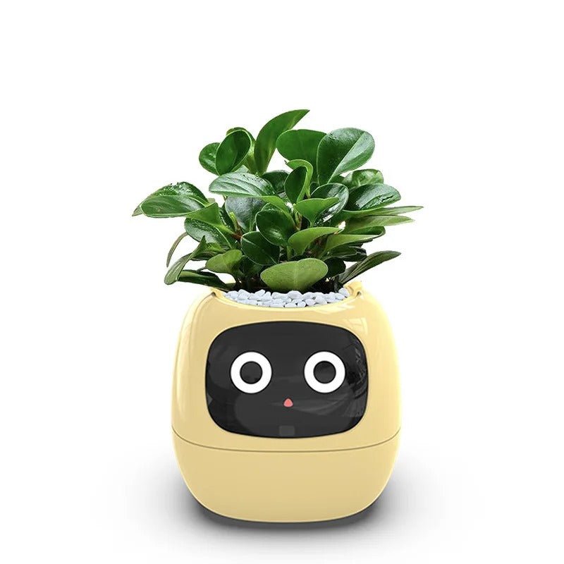 7 Sensors Smart Planter - Smart Flower Pot, and Ai Chips Make Raising Plants Easy and Fun for Living Room