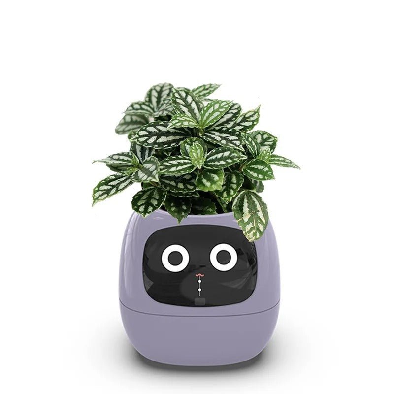7 Sensors Smart Planter - Smart Flower Pot, and Ai Chips Make Raising Plants Easy and Fun for Living Room