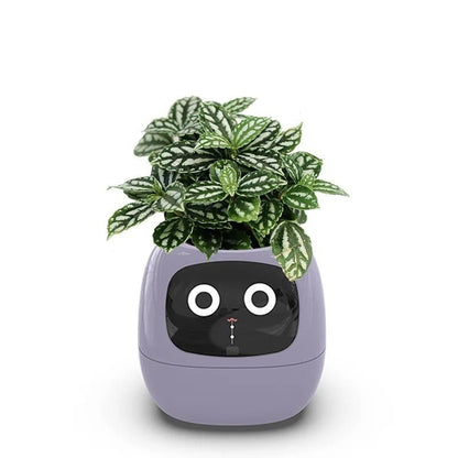 7 Sensors Smart Planter - Smart Flower Pot, and Ai Chips Make Raising Plants Easy and Fun for Living Room