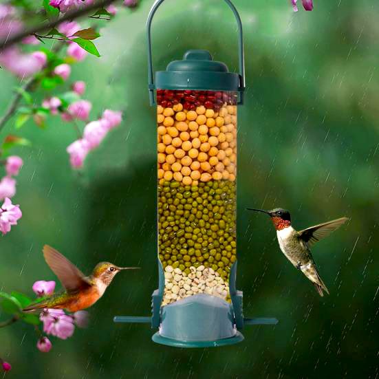 Squirrel-Proof Bird Feeder - Decoration Hanging Hummingbird Water Feeder Tools