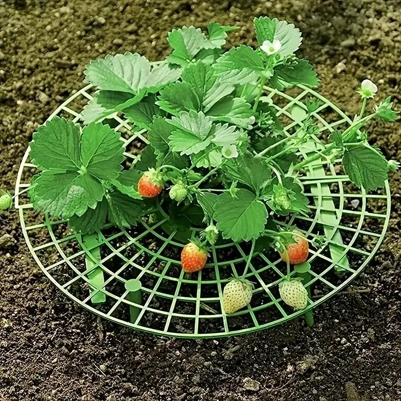 Strawberry Planting Frame -  Strawberry Pot Holder Tray Adjustable Strawberry Support Stand Plant Climbing Frame Preservative Tool