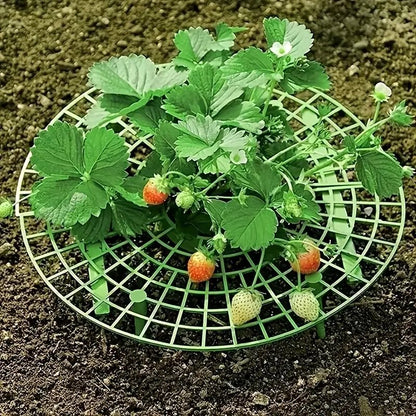 Strawberry Planting Frame -  Strawberry Pot Holder Tray Adjustable Strawberry Support Stand Plant Climbing Frame Preservative Tool