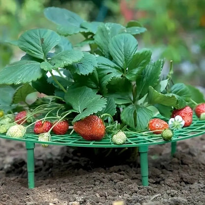 Strawberry Planting Frame -  Strawberry Pot Holder Tray Adjustable Strawberry Support Stand Plant Climbing Frame Preservative Tool