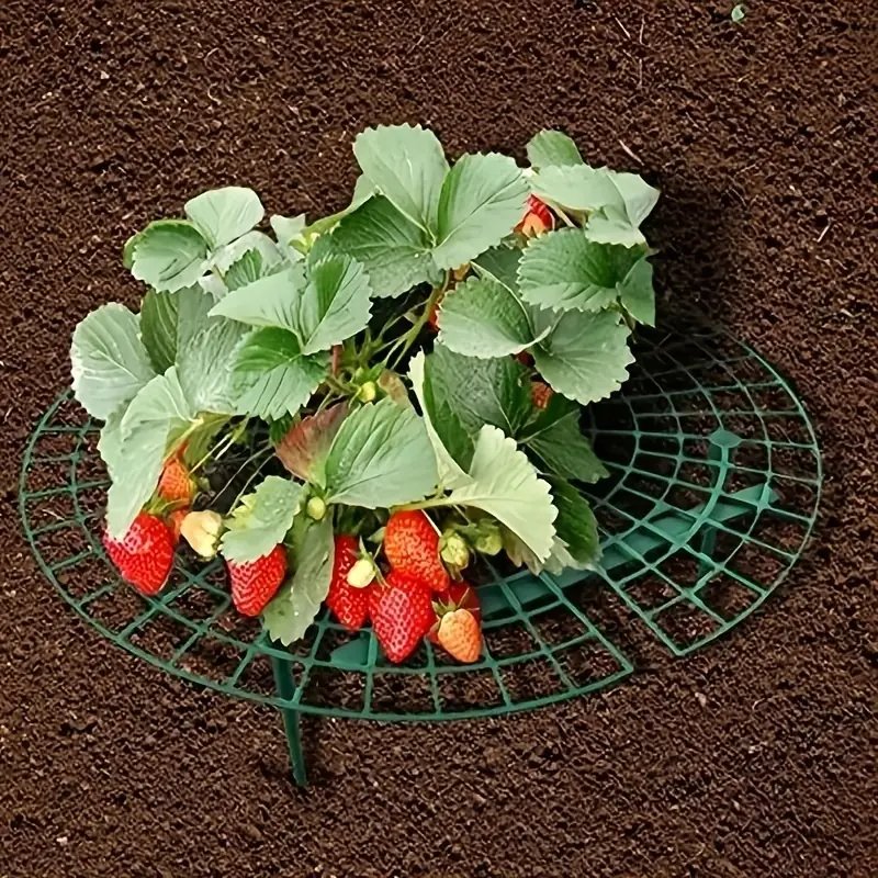 Strawberry Planting Frame -  Strawberry Pot Holder Tray Adjustable Strawberry Support Stand Plant Climbing Frame Preservative Tool