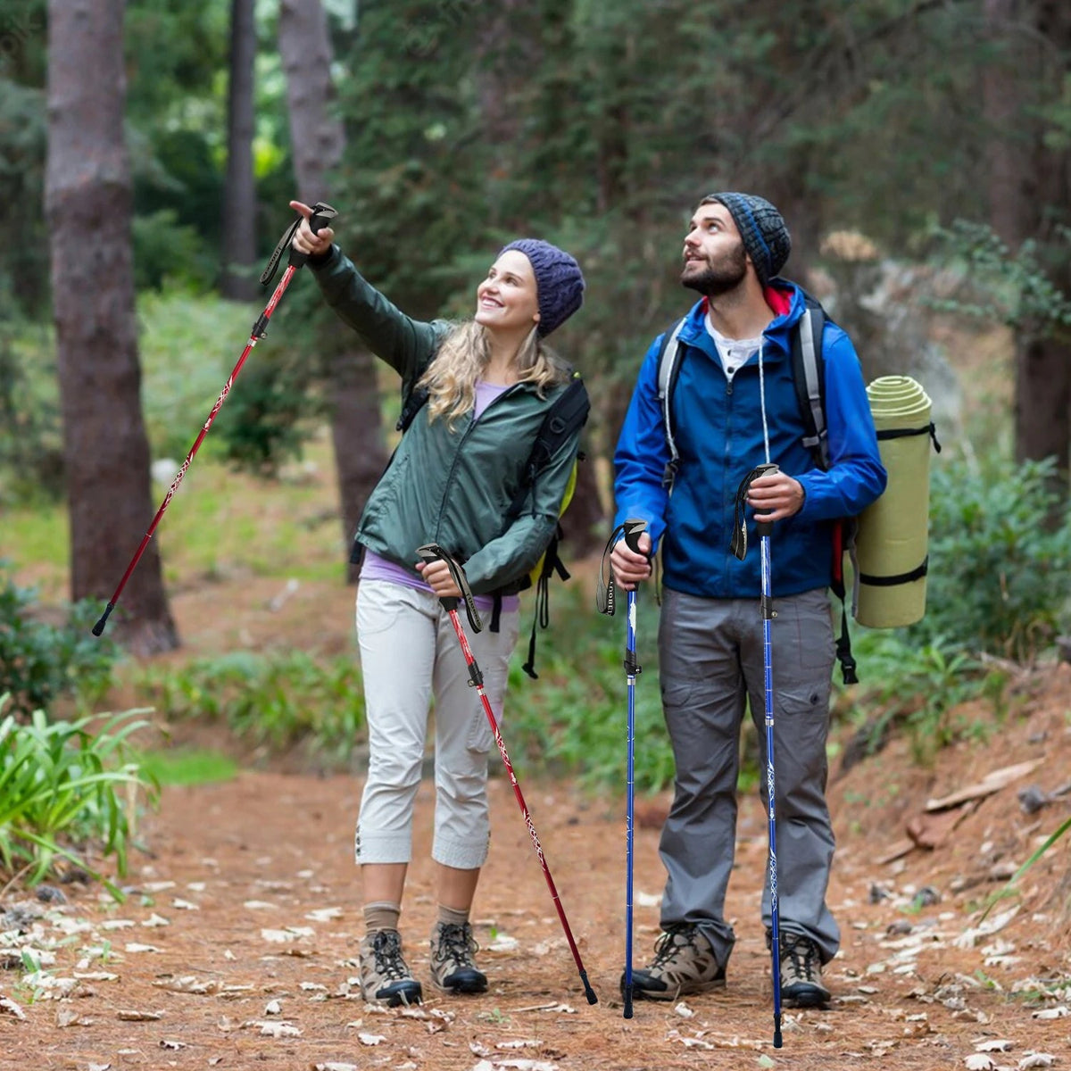 Telescopic Trekking Pole & Walking Stick – Single Adjustable Aluminum Pole, 4-Section T-Handle or 5-Section Folding