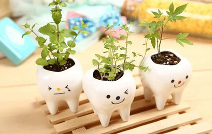 Tooth-Shaped Ceramic Vase – Perfect for Flowers, Pens, or Planters - A Charming Gift for Dentists and Home Décor Delight