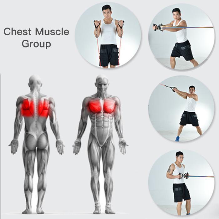 Ultimate Resistance Band Set