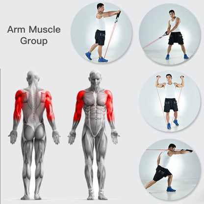 Ultimate Resistance Band Set