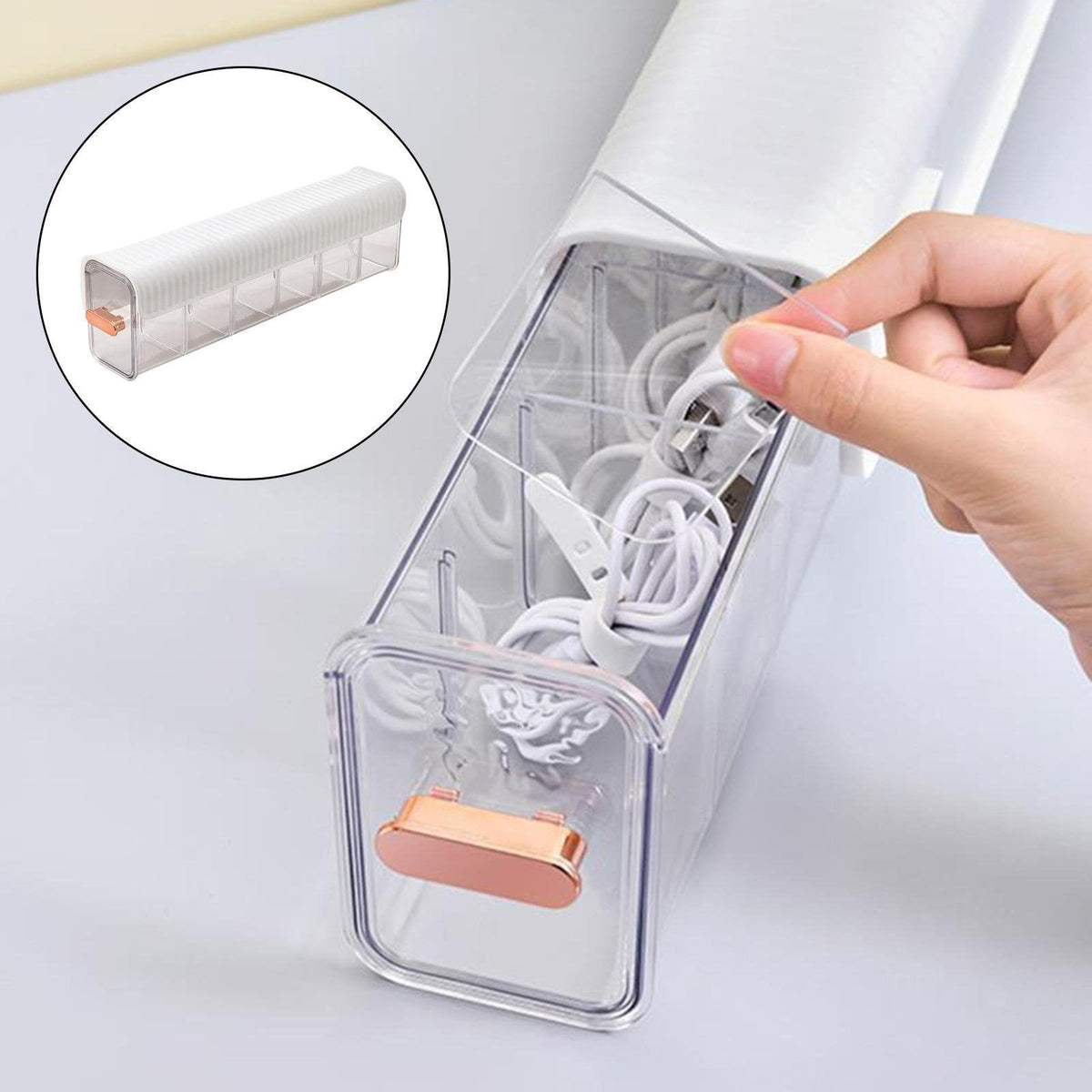 Underwear Organizer - 6-Grid Wall Mounted Transparent Underwear Storage Box