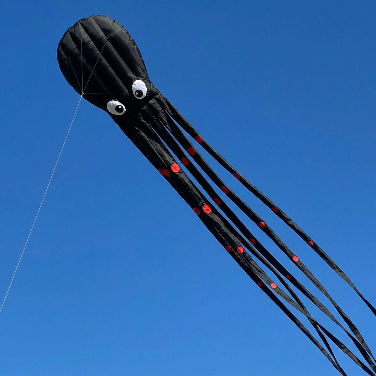 Long Giant Octopus Kite - Outdoor Toy (8-Meter)