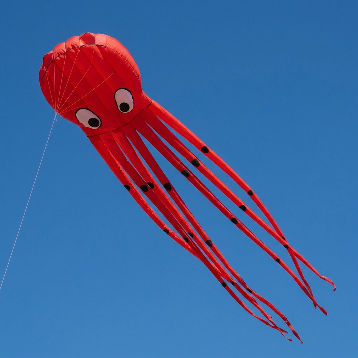 Long Giant Octopus Kite - Outdoor Toy (8-Meter)