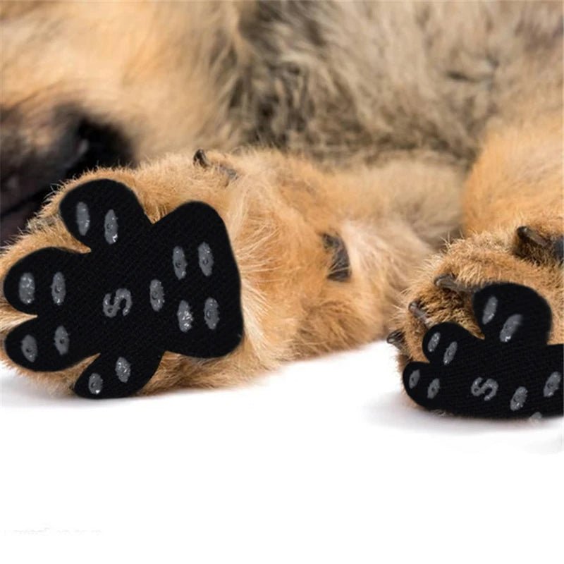 Disposable Dog Paw Pads - Self-Adhesive Rubber-Tread Stickers, Set of 4 in Black, Pink or Blue