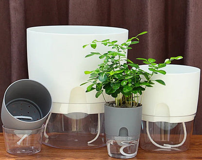 Self-Watering Transparent Planter – Dual-Layer Flower Pot with Cotton Rope Irrigation
