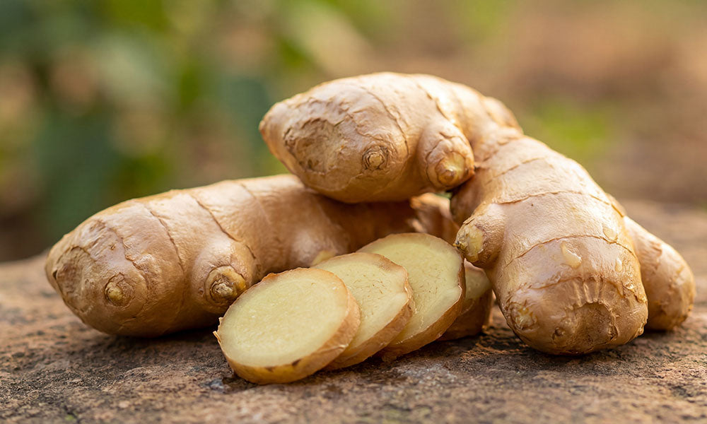 Ginger Root